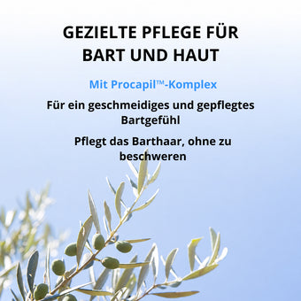 Der Text über einem Olivenzweig lautet: Gezielte Bartpflege für Bart und Haut mit dem Dr. Balwi Beard Serum von Dr. Balwi Shop. Mit Procapil-Komplex – für ein geschmeidiges, gepflegtes Bartgefühl. Pflegt das Barthaar, ohne es zu beschweren, und unterstützt gleichzeitig den natürlichen Bartwuchs mit einem wirksamen Serum. Himmel im Hintergrund.