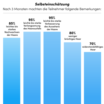 Das Balkendiagramm "Selbsteinschätzung" zeigt die von den Teilnehmern berichteten Verbesserungen der Haare nach 3 Monaten mit der Dr. Balwi Meso Therapie aus dem Dr. Balwi Shop: Haarwachstum stimulieren, Haarausfall vorbeugen, Aussehen, weniger Bruch, Spannkraft (in Prozent).