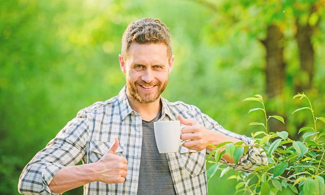Wirkt Grüntee Extrakt gegen Haarausfall?
