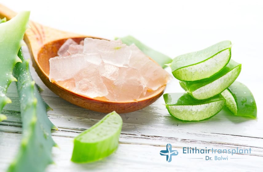 Que peut l’aloe vera contre la chute des cheveux ?