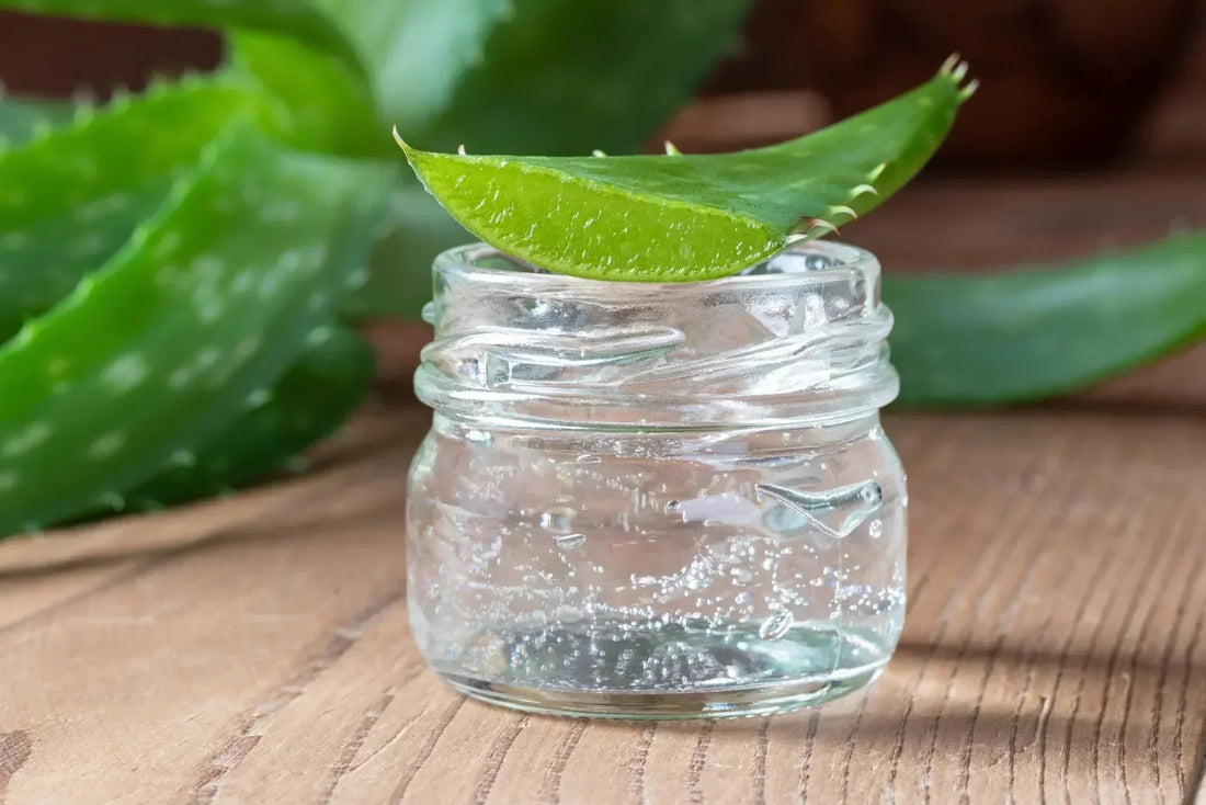 Bol de gel d'aloe vera