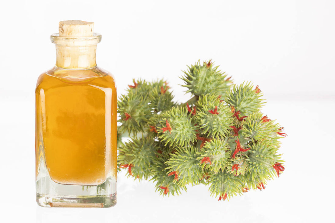 castor oil has many benefits for the hair
