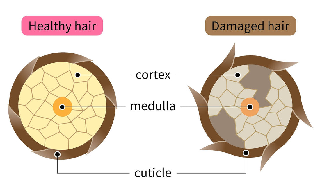 discover our Tips to have a more beautiful and healthy hair