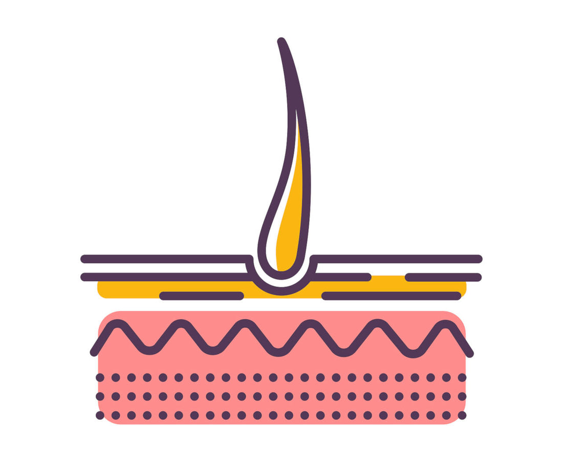 everything you need to know about hair structure and how to improve it