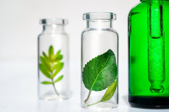 Herbal hair care: Care for your hair gently and naturally