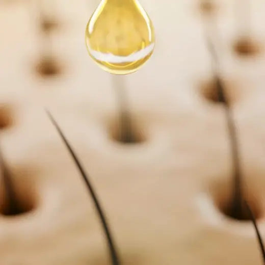 The Hair Growth Cycle