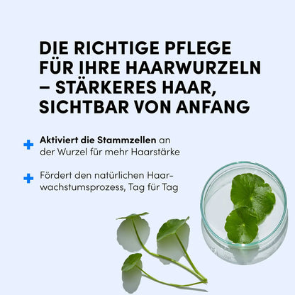 Deutscher Text zu Haarpflege und Haarwachstum mit zwei Stichpunkten, daneben ein Glas Wasser mit grünem Blatt und zwei frischen Blättern - inspiriert vom Dr. Balwi Hair Boost Set von Dr. Balwi Shop.