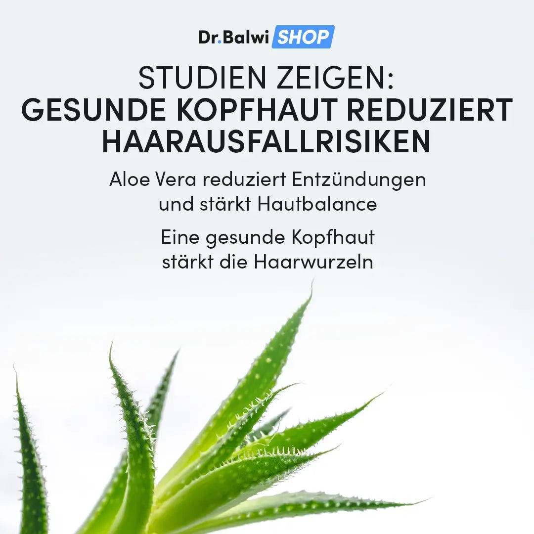 Textgrafik mit einer Nahaufnahme einer Aloe-Vera-Pflanze am unteren Rand. Deutscher Text: Dr. Balwi 98% Aloe Vera von Dr. Balwi Shop spendet Feuchtigkeit, beruhigt trockene Kopfhaut und hilft, Entzündungen zu reduzieren für gepflegte, gesunde Haare.