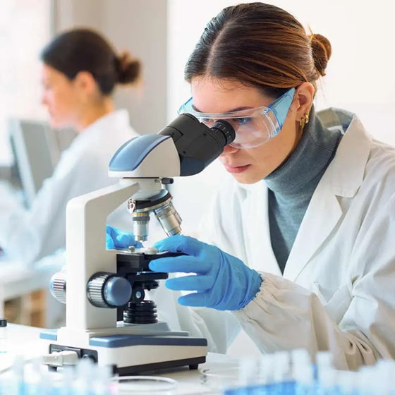 What disrupts this cycle?